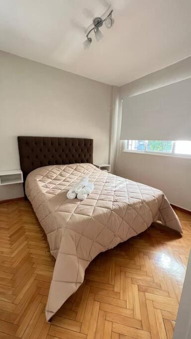 Apartment Buenos Aires, Recoleta Nuevo! *